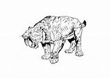 Tiger Tooth Saber Coloring Pages Color Printable Getcolorings Edupics Popular sketch template