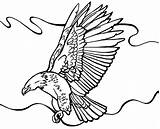 Eagle Bald Coloring Flying Around Pages Clipart Netart Color Drawing Eagles Bird Clipartbest Clipartmag Getcolorings Choose Board sketch template