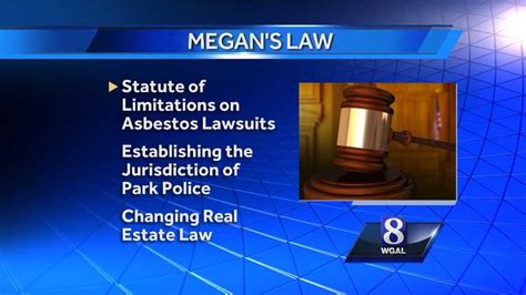 state supreme court rules megan s law website unconstitutional