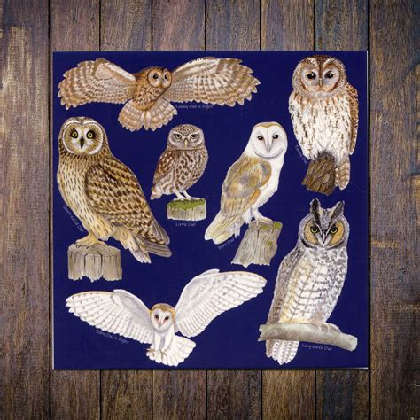 british owls blank square  card