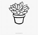 Succulent Line Coloring Clipart Clipartkey sketch template
