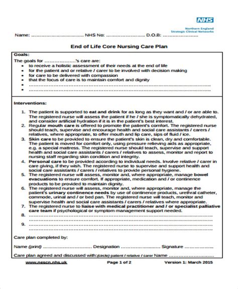 nursing care plan templates  sample  format