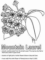 Laurel Mountain Coloring Pennsylvania Flower Connecticut Symbols Sketch State Penn William Geography Pages Pa States Template Lapbook United Go History sketch template