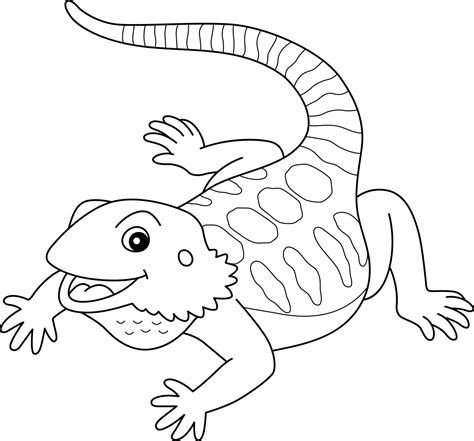 bearded dragon animal isolated coloring page  vector art