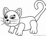 Coloring Siamese Pages Parade Pet Coloringpages101 Online Toys sketch template