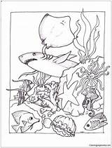 Ocean Coloring Floor Sea Life Marine Pages Under Lion Drawing Color Printable Corps Online Getcolorings Getdrawings Print sketch template