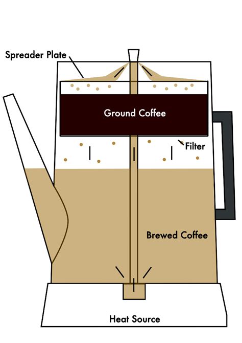 coffee percolator wiki everipedia