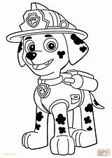 Paw Patrol Drawing Draw Drawings Coloring Pages Paintingvalley sketch template