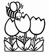 Coloring Bee Kindergarten Tulips Drawing sketch template