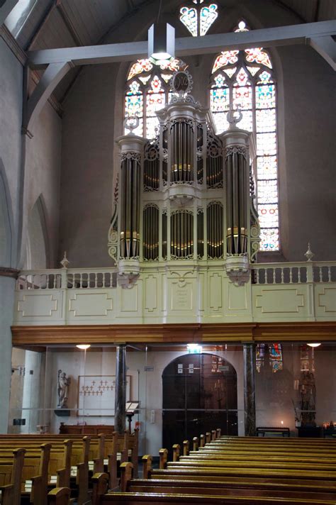 bergeijk sint petrus banden  hofkerk brabantse orgelfederatie