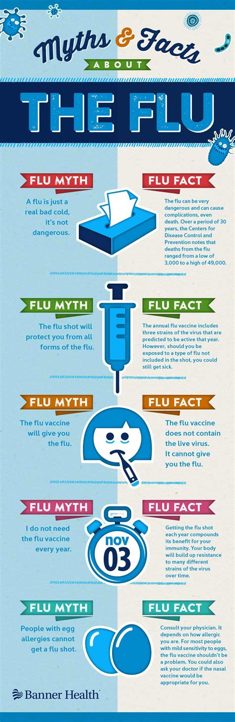 the myths and facts you should know about the flu banner