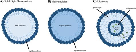 nanoparticle nanoemulsion  nanocarriers utilized