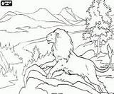 Narnia Aslan Oncoloring sketch template