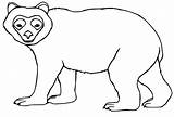 Spectacled Bear sketch template