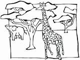 Coloring African Savanna Pages Trees Animals Acacia Tree Getcolorings Colouring sketch template