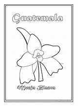 Guatemala Coloring Flag Para Colorear Monja Blanca Flower Pages National Dibujos Patrios Simbolos Color Nun Symbol Bandera Getcolorings Niños Imagen sketch template
