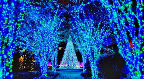 top  christmas light displays    popular southern cities