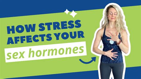 How Stress Affects Your Sex Hormones – The Movement Paradigm