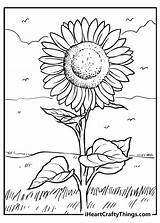 Sunflower Coloring Mediums Iheartcraftythings sketch template
