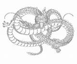 Shenron sketch template