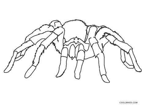 spider coloring pages  print