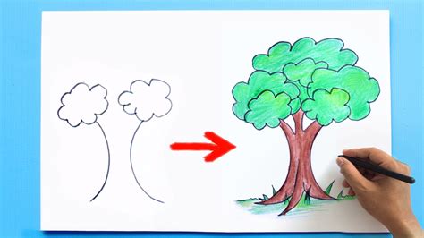 draw  tree step  step easy tree drawing youtube