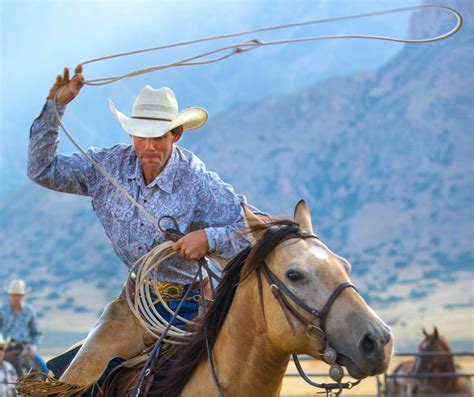 roping cowboy olsens  healthy animals