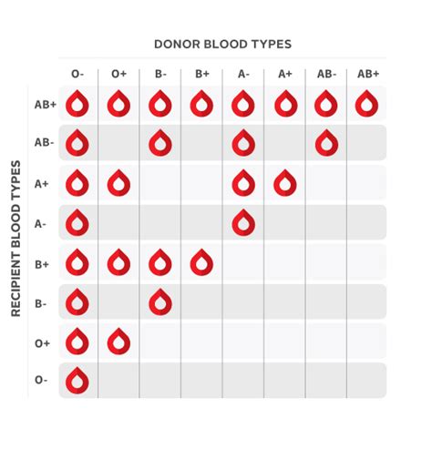 blood types  compatible    blood type compatibility