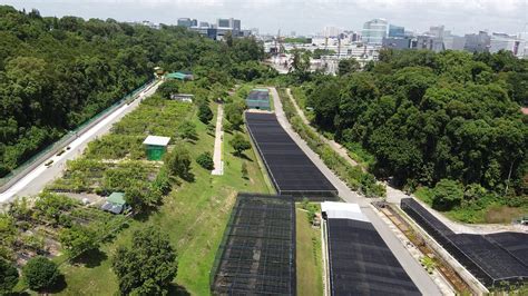 dji mavic mini ce signal lost rth drone test  hort park pasir panjang nursery  singapore