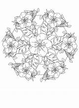 Coloring Flowers Vines Mandala Pages Colouring Printable Adult Choose Board Healing sketch template