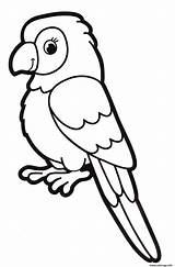 Perroquet Maternelle Perruche Imprimer Papagei Ligne Malvorlage Ausmalbilder Jährige Vorlage Kreativer Dibujo Malvorlagen sketch template