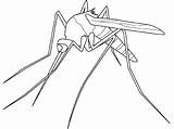 Mosquito Coloring Animals Printable Drawing sketch template