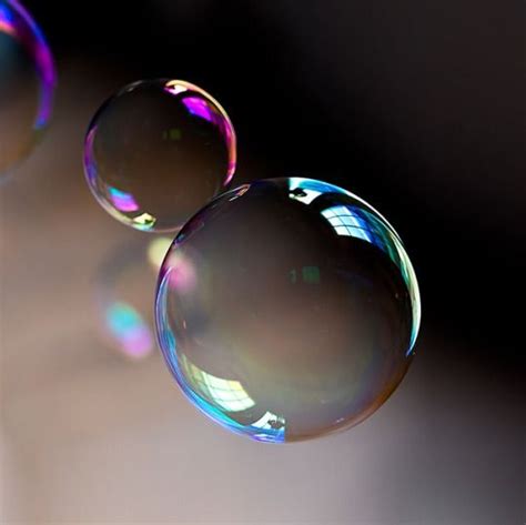 bubbles  color bubbles photography bubble art bubbles