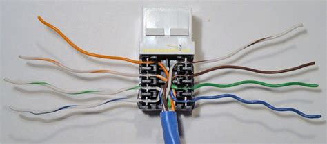 cat wiring diagram  wall plates