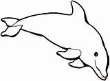 Delfin Dolphin sketch template