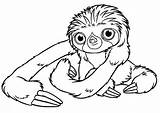 Sloth Croods Sloths Toed Sheets Coloriage Yeux Ouvrant Bestcoloringpagesforkids Kidsplaycolor sketch template