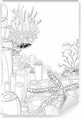 Coralli Colorare Starfish Pixers sketch template