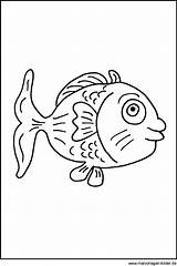 Fisch Malvorlagen Ausmalbilder Ausmalbild Fische Ausmalen sketch template