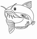 Coloring Fish Pages Catfish Printable sketch template