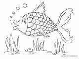 Coloring Fish Pages Colouring Color Kids Drawing Detailed Sheets Summer A4 Animal Printable Sheet Physical Activity Fitness Paper Animals Zoo sketch template