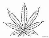 Coloring Leaf Pages Weed Marijuana Cannabis Printable Template Print Cool2bkids Kids Worksheets Sketch Popular sketch template
