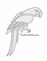 Parrot Freestencilgallery sketch template