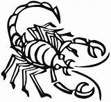 Scorpion Coloring Pages Animals Scorpio Color Sheet Printable Town Animal Print Clipartbest Kb Drawing Popular sketch template
