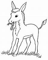 Ane Ferme Donkey âne Anes Colorier Anon Coloriages Anesse ânes Plaisir sketch template