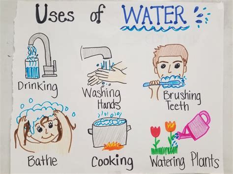 water st grade teks anchor chart water kids water theme english teaching worksheets