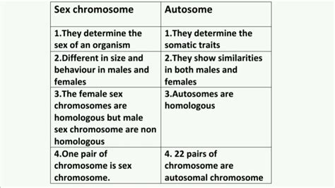 Difference Between Sex Chromosome And Autosomal Chromosome Youtube