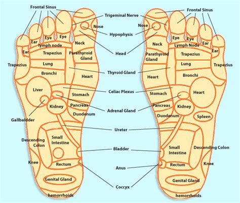 acl post surgery days 2 3 massage pressure points foot
