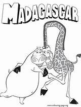 Madagascar Gloria Melman Madagaskar Colorear Boxeur Colouring Danieguto sketch template