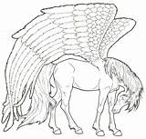 Pegasus Deviantart Coloring Pages Horse Printable Lineart Adult Fantasy Kids sketch template