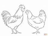 Coloring Chicken Rooster Hen Pages Drawing Outline Hahn Henne Und Clipart Printable Drawings Chickens Fowl Super Kids Pluspng Supercoloring Print sketch template